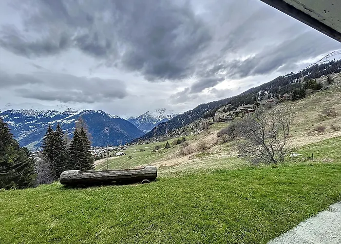 Fouquet Rez וורבייה